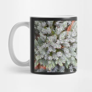 Winter fir Mug